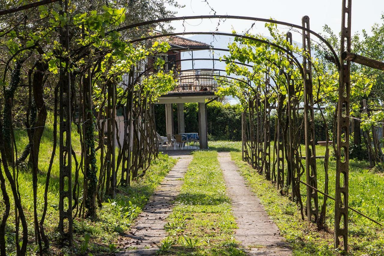 Villa Florida App Pelikan oben und App Sandpiper unten Pilzone Exterior foto